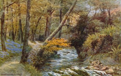 Groudle Glen, Isle of Man by Alfred Robert Quinton